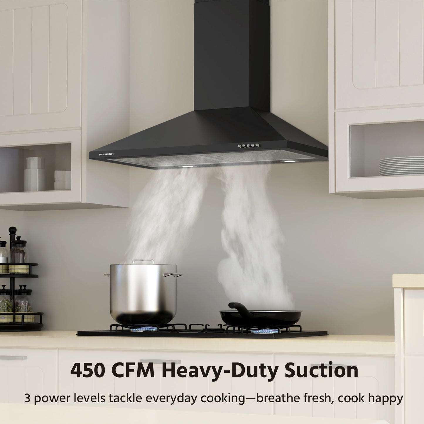 MOLINGDUN Range Hood 30 inch, 450 CFM Wall Mount Kitchen Hood in Cold Steel with Black Powder Coating Finish, LED Lighting, 3 Speed Exhaust Fan, Ducted/Ductless Convertible (Charcoal Filters Included)