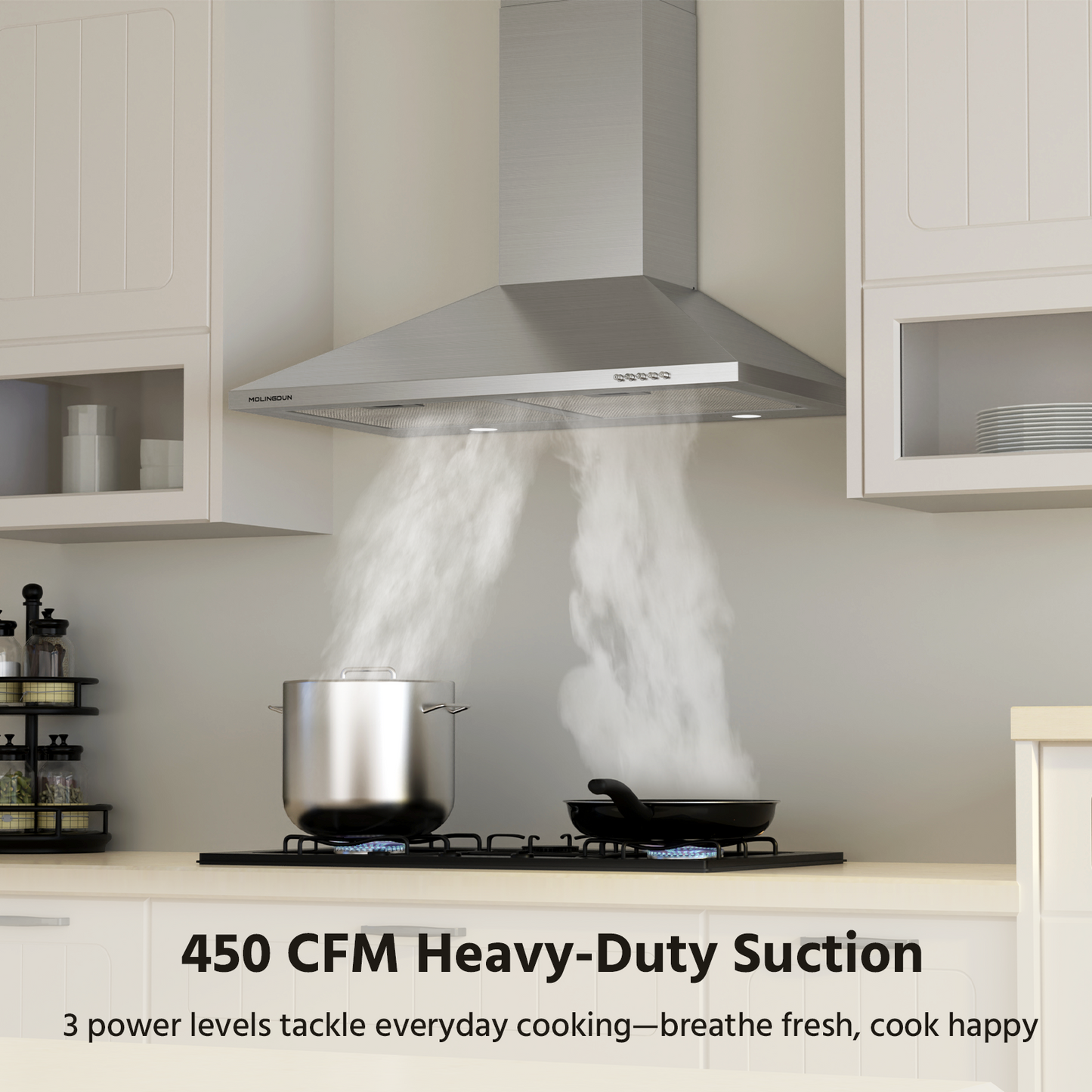 MOLINGDUN Range Hood 30 inch, 450 CFM Wall Mount Kitchen Hood in Stainless Steel with LED Lighting, 3 Speed Exhaust Fan, Ducted/Ductless Convertible (Charcoal Filters Included)